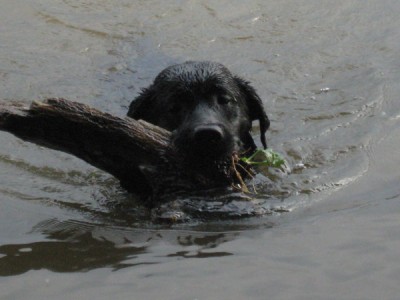 paula im wasser